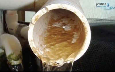 What’s Lurking in Your Water Pipes? Deep-Clean Your Water Pipework Safely
